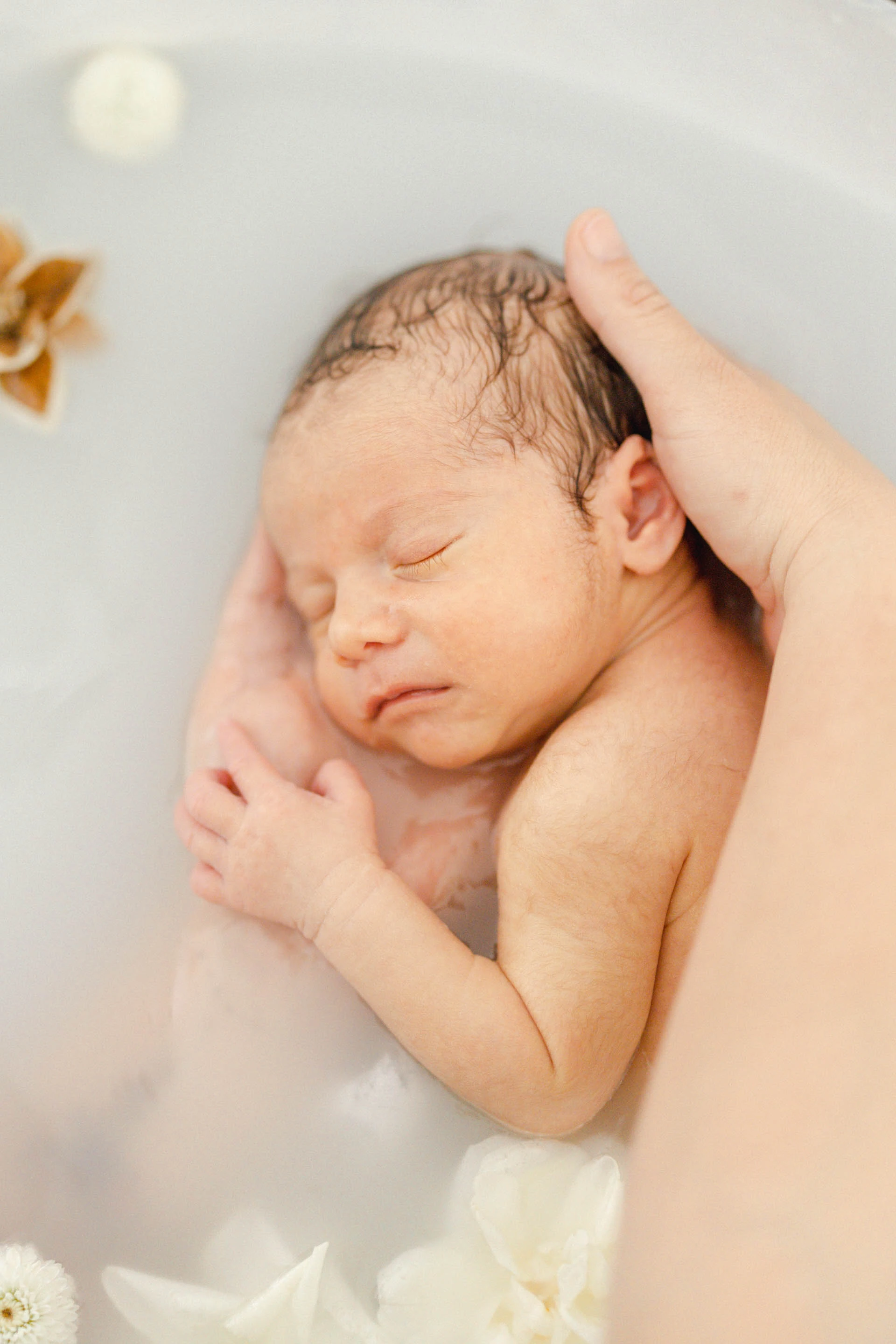 enfant naissance gris marron bébé